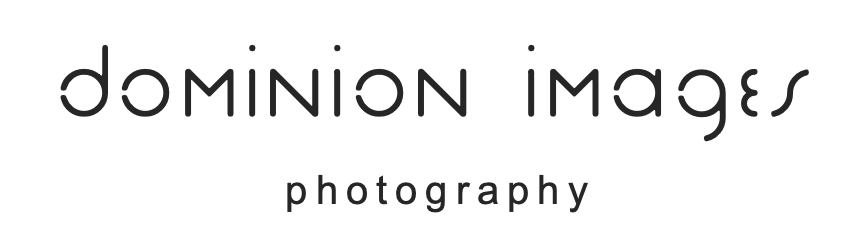 dominion images logo
